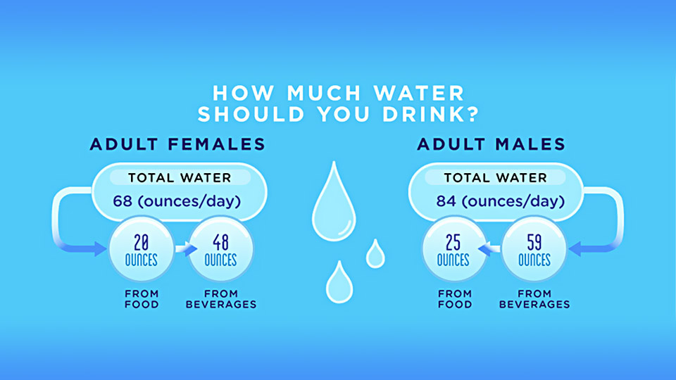 why should we drink water