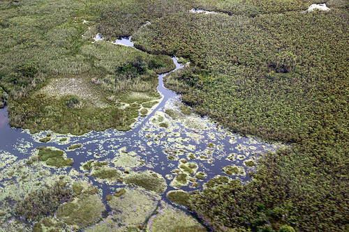 Blue Planet Expedition: Alexandra Cousteau Visits the Okavango Delta, A Cradle of Life