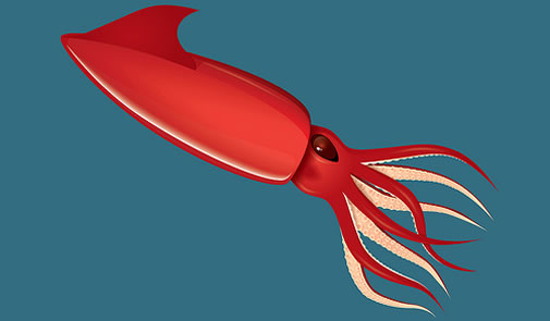 Humboldt Squid Population Exploding Due to Global Warming