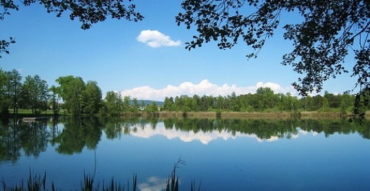 56% of U.S. Lakes Called “Good” In EPA Survey