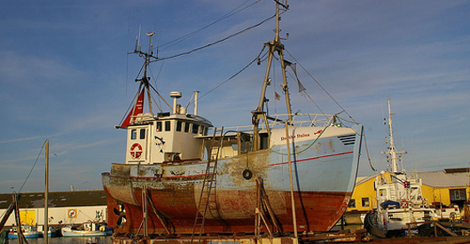 UN:  Dock 13 Million Fishing Boats to Save Global Stocks