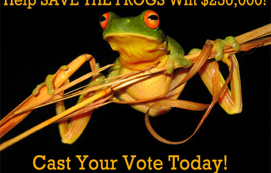 Help Save the Frogs Win $250,000