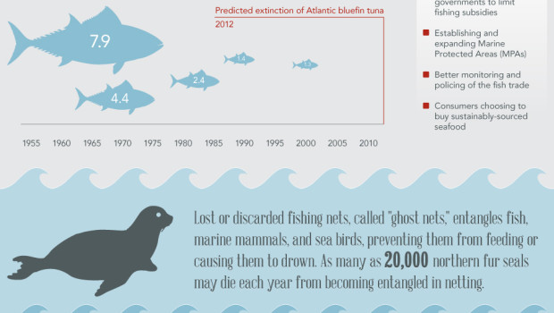 Collapsing Seas – An Infographic