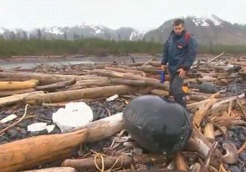 Tsunami debris on Montague Island in Alaska