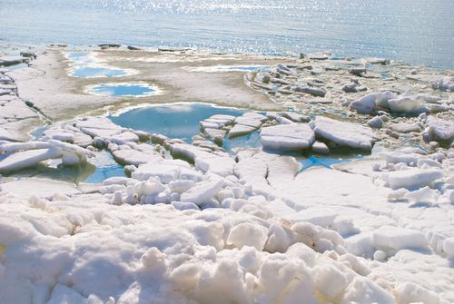 Massive Algae Bloom Under Arctic Ice
