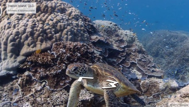 Google Reef Mapping Project Takes Users on Virtual Scuba Dive