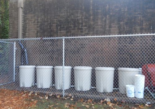Rainwater Harvesting at a Local School